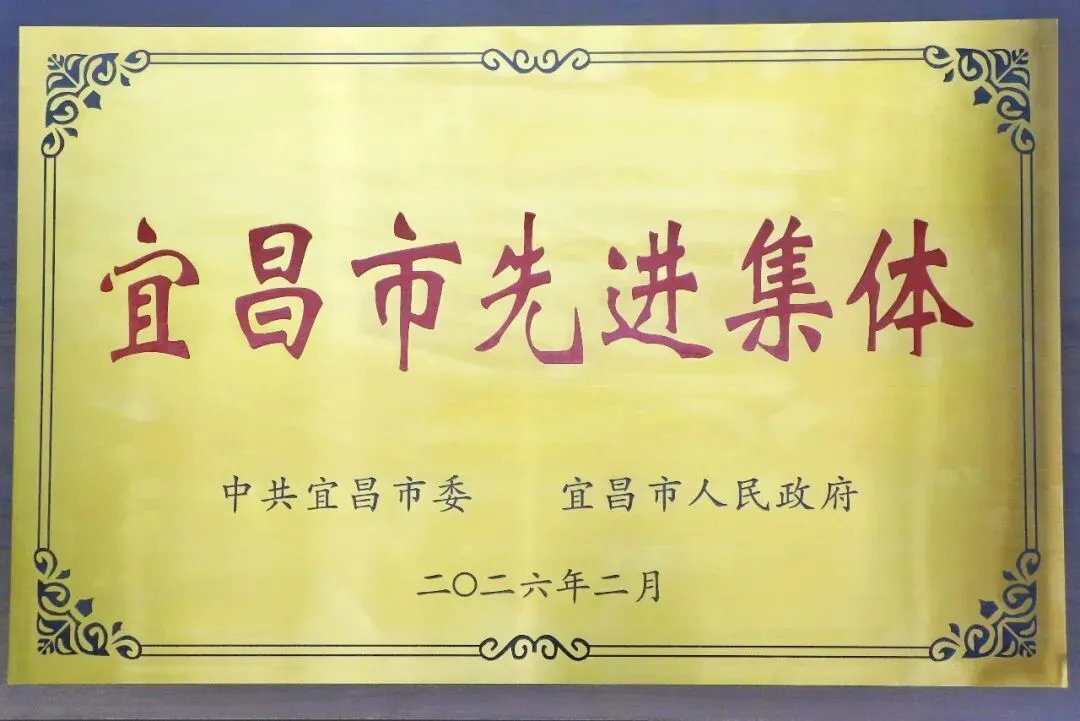 电玩城app大厅荣获&ldquo;宜昌市先进集体&rdquo;称号
